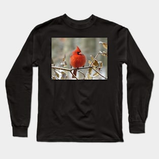 Northern cardinal perching on an ice-coated branch Long Sleeve T-Shirt